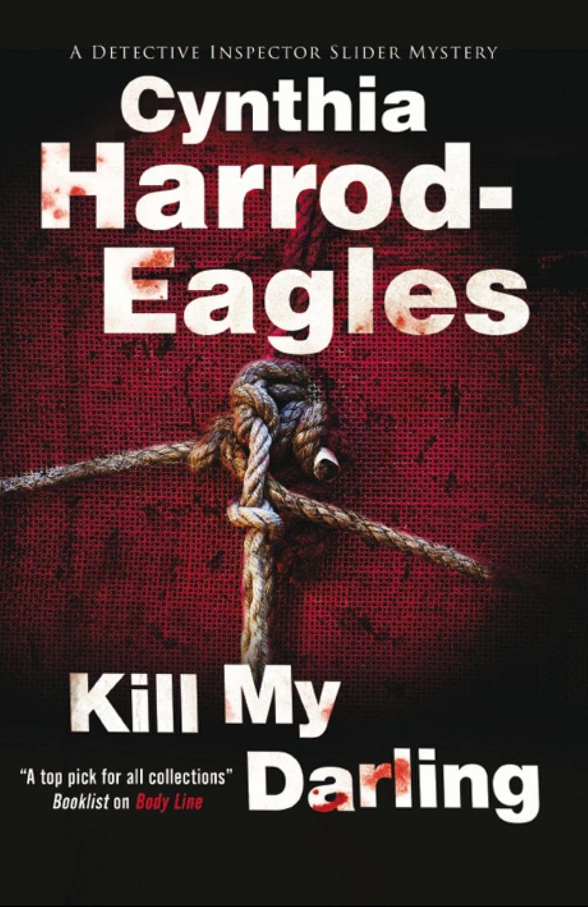 Kill My Darling: 14 (A Detective Inspector Slider Mystery)