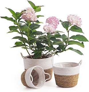 Plant Pots Seagrass Basket Planter - House Flower Pots Indoor Planters Decorative Pots for Plants Flower Rustic Farmhouse Planters with Handles for Home Décor Set of 3, White
