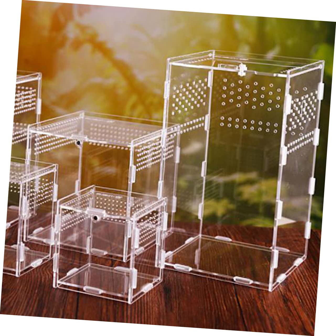 Toyvian Terrarium und Magnetischer Aufzuchtbox mit Stabilem Belüftungssystem für Reptilien aus Acryl zur Zucht und Haltung für Schildkröten und Spinnen