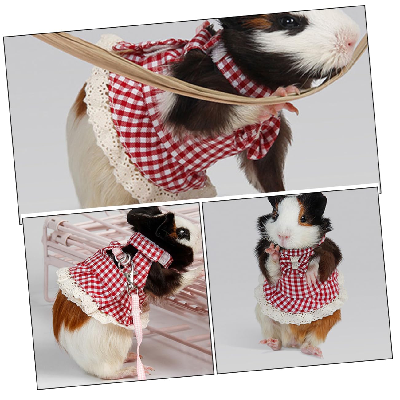 BESPORTBLE 3 Pz Piccola Pettorina Per Animali Domestici Imbracatura Da Furetto Guinzaglio Per Gattini Pettorina Per Piccoli Animali Kit Di Imbracatura Coniglietto Dei Cartoni Animati Stoffa