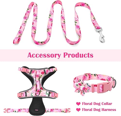 Miniatura 7 de Correa de perro rosa de 5 piespies para perros de raza mediana