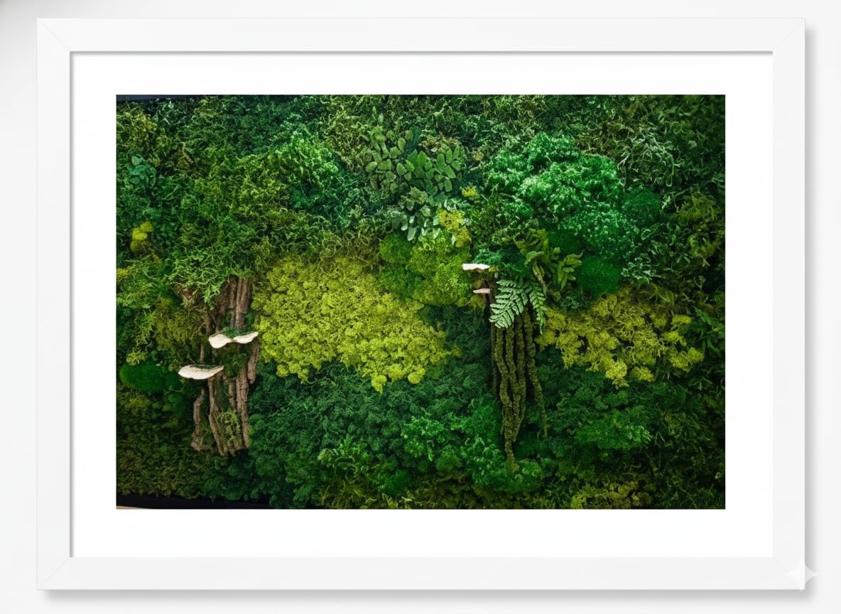 Amazon.com: Unique Moss Wall Art - Preserved Moss Art - Green Wall