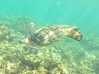 Review Image by Eric Lee Eric Lee