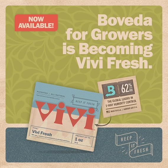 Boveda 62% Two-Way Humidity Control Pack for Storing 1 lb Moisture Absorber for Storage Containers Humidifier Pack Individually Wrapped Hydration Packet - 1-pack