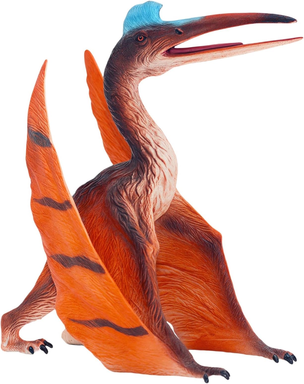 Pterosaur