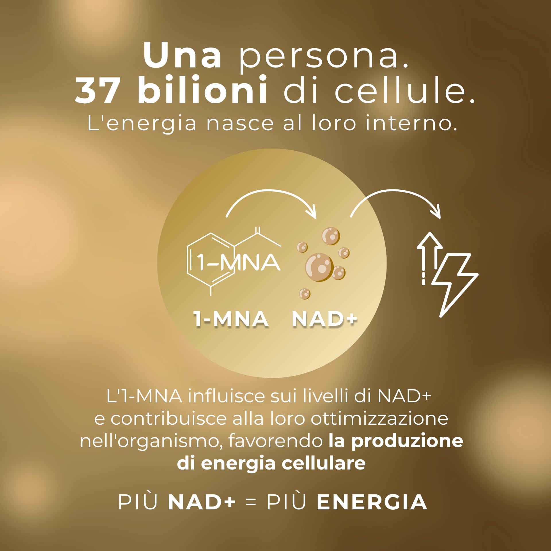 1-MNA PRO, Integratore Anti-Età, Ottimizza NAD+, Doppia Dose per Effetti Più Rapidi, Biohacking, Supporto per la Salute Cellulare, Biodisponibilità Maggiorata, 30 Compresse
