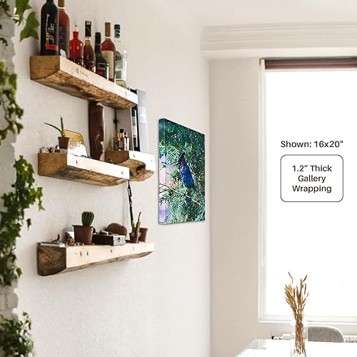 Miniatura 5 de 3dRose Argentina, Santa Rosa de los Pastos Grandes, llama -... - Museum Grade Canvas Wrap (cw_85310_1)