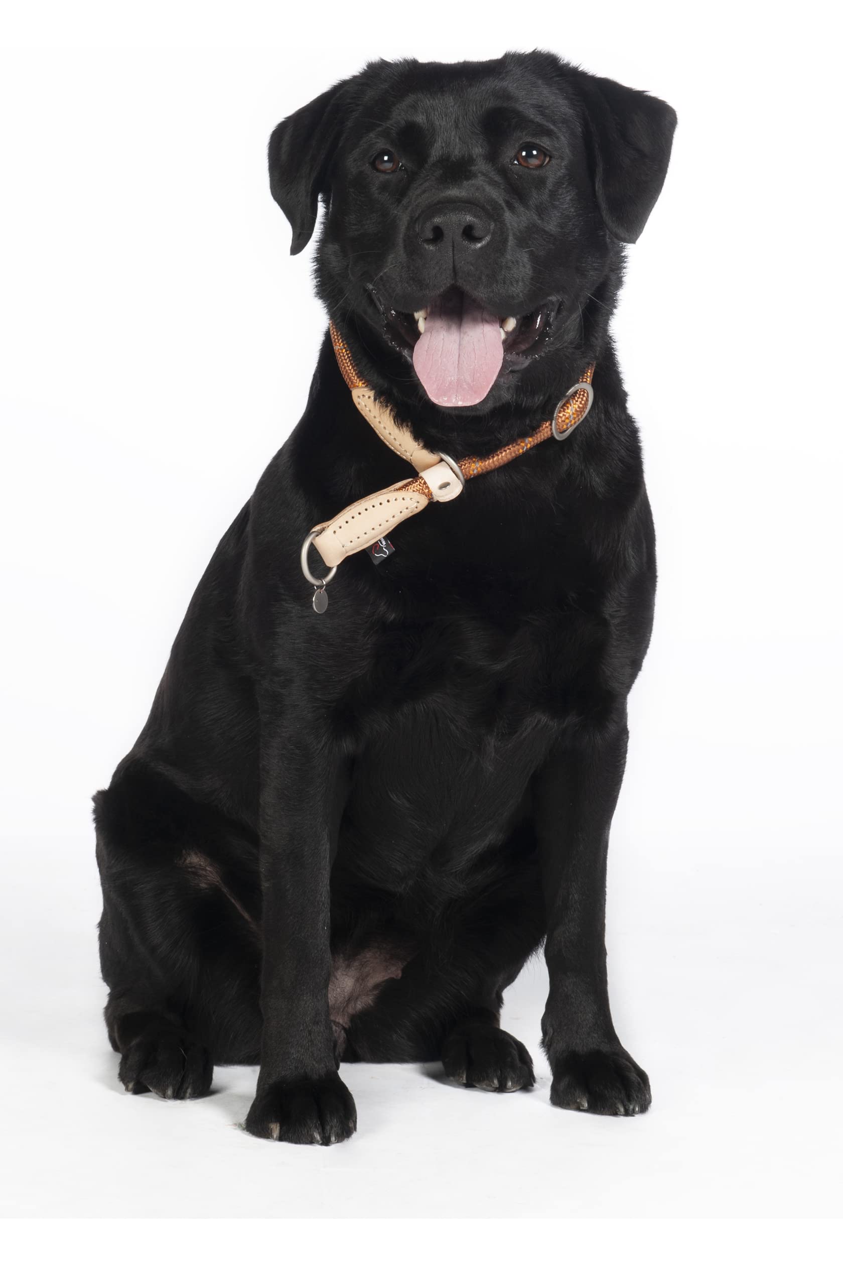 HKM Anam Cara Dogs training collar rope Black M: 1,2 cm - Image 2