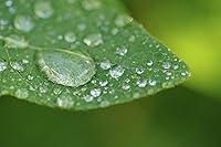 Vista 3 de 10 lentes de alta definición de 2 elementos de primer plano (Macro) compatibles con Sony FDR-AX100