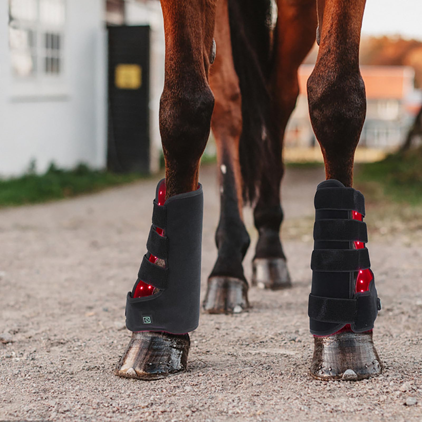 Dispositivo di terapia a luce rossa a LED per cavalli, stivali da cavallo a infrarossi per alleviare il dolore alle gambe, alleviare il disagio da esercizi vigorosi, confezione da 1