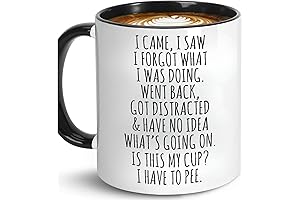 I Came I Saw I Forgot What I was Doing Coffee Mug...