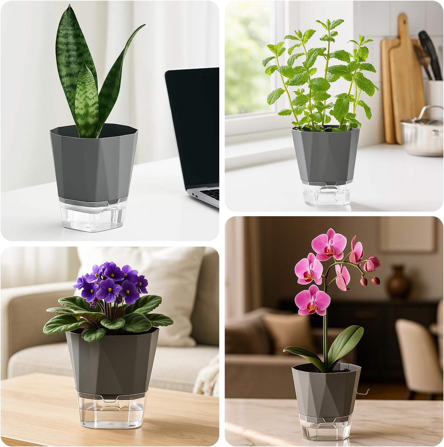 5 Pack Self Watering Pots for Indoor Plants, 5/6.7/8.4 in Self Watering Planters African Violet Self Watering Clear Pots for Plants Herb Orchid Flower Houseplant Pots, Dark Grey