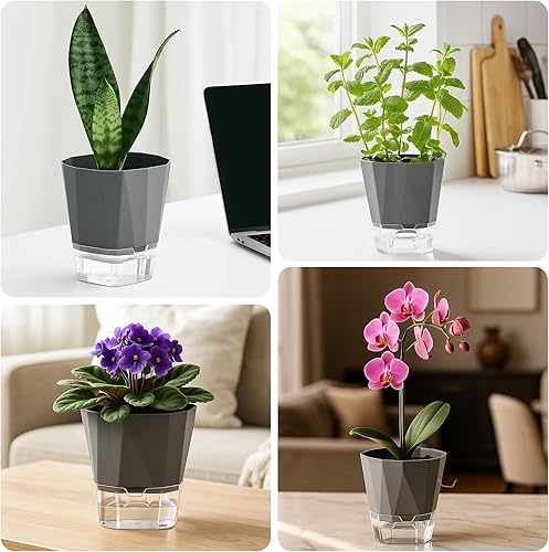 Miniatura 7 de Paquete de 5 macetas de riego automático para plantas de interior, macetas de riego automático de 5/6.7/8.4 pulgadas, color violeta africano, Gris