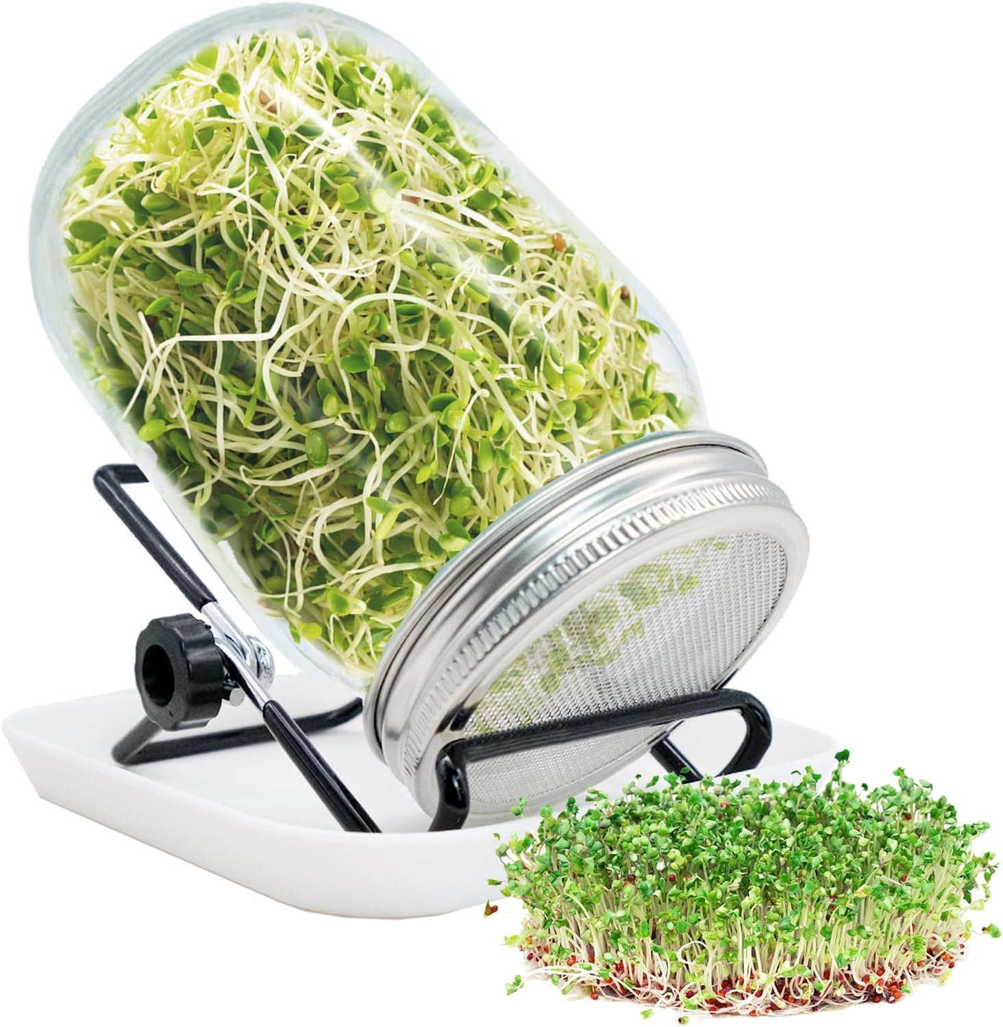Pot de germination, kit de culture des germes, pot Mason pour germes de haricots, kit de germination de graines pour la luzerne, mung bea
