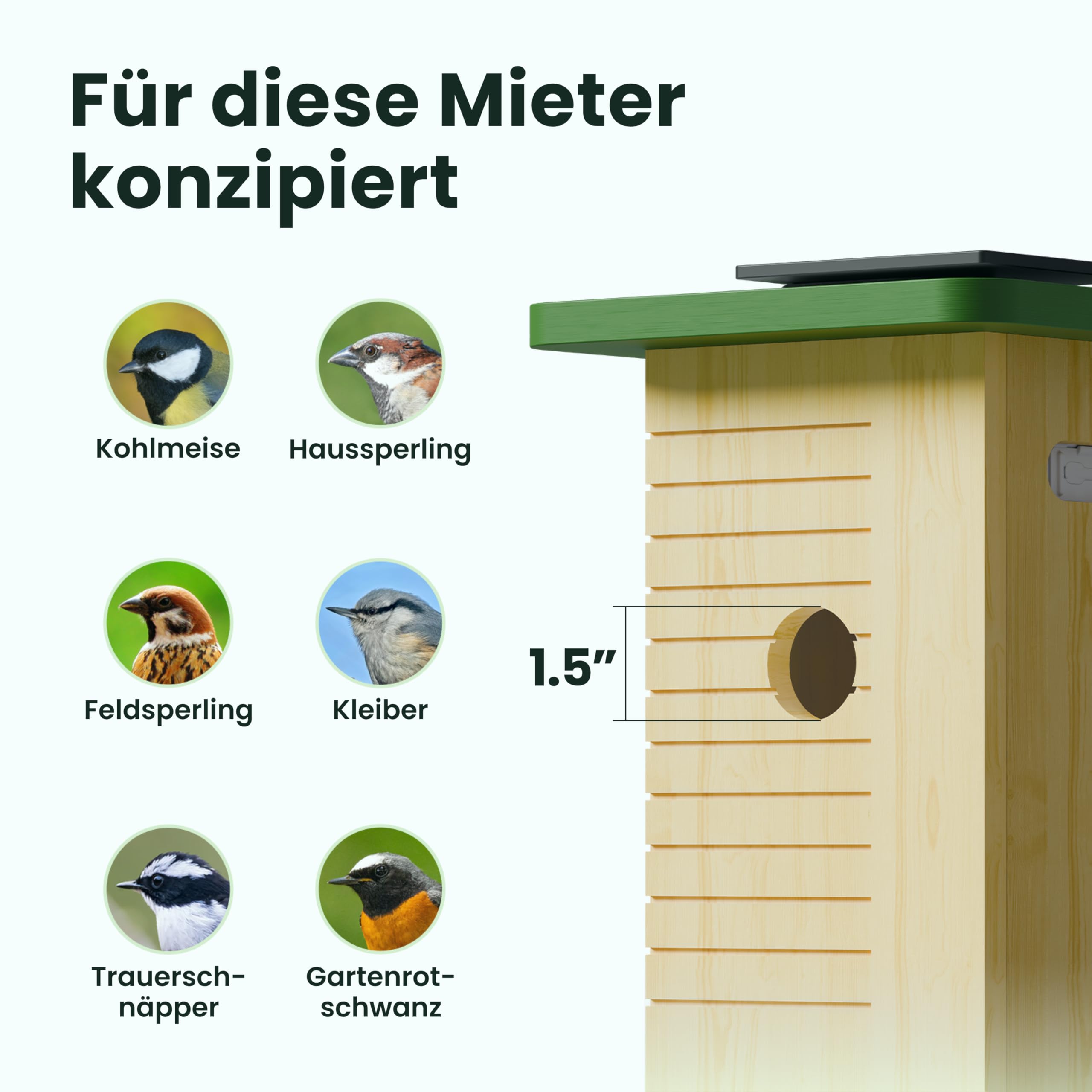Birdfy Vogelhaus mit Kamera Solar, 1080P FHD Live-View, Echtzeitbeobachtung des Nestbaus und der Brut von Vögeln,Nistkasten mit Kamera, 5200mAh Akku, KI - Ident Vogelfreunde