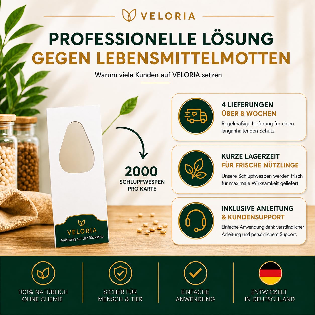 VELORIA Schlupfwespen gegen Lebensmittelmotten - 12 Karten (3 Karten à 4 Lieferungen) - Effekt. Lebensmittel Motten bekämpfen - Alternative zur Mottenfalle, Mottenspray, Pheromonfalle