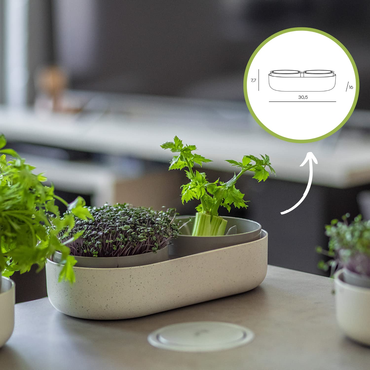 Urbalive 2-in-1 große Keimschale Set - 2X Kresse Anzuchtschale für Sprossen, Kressesamen, Microgreens - Design Kressesieb aus hochwertigem Kunststoff - Keimsprossenbox Keimgerät mit Regrow Option