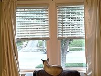 Review Image by Amazon Customer