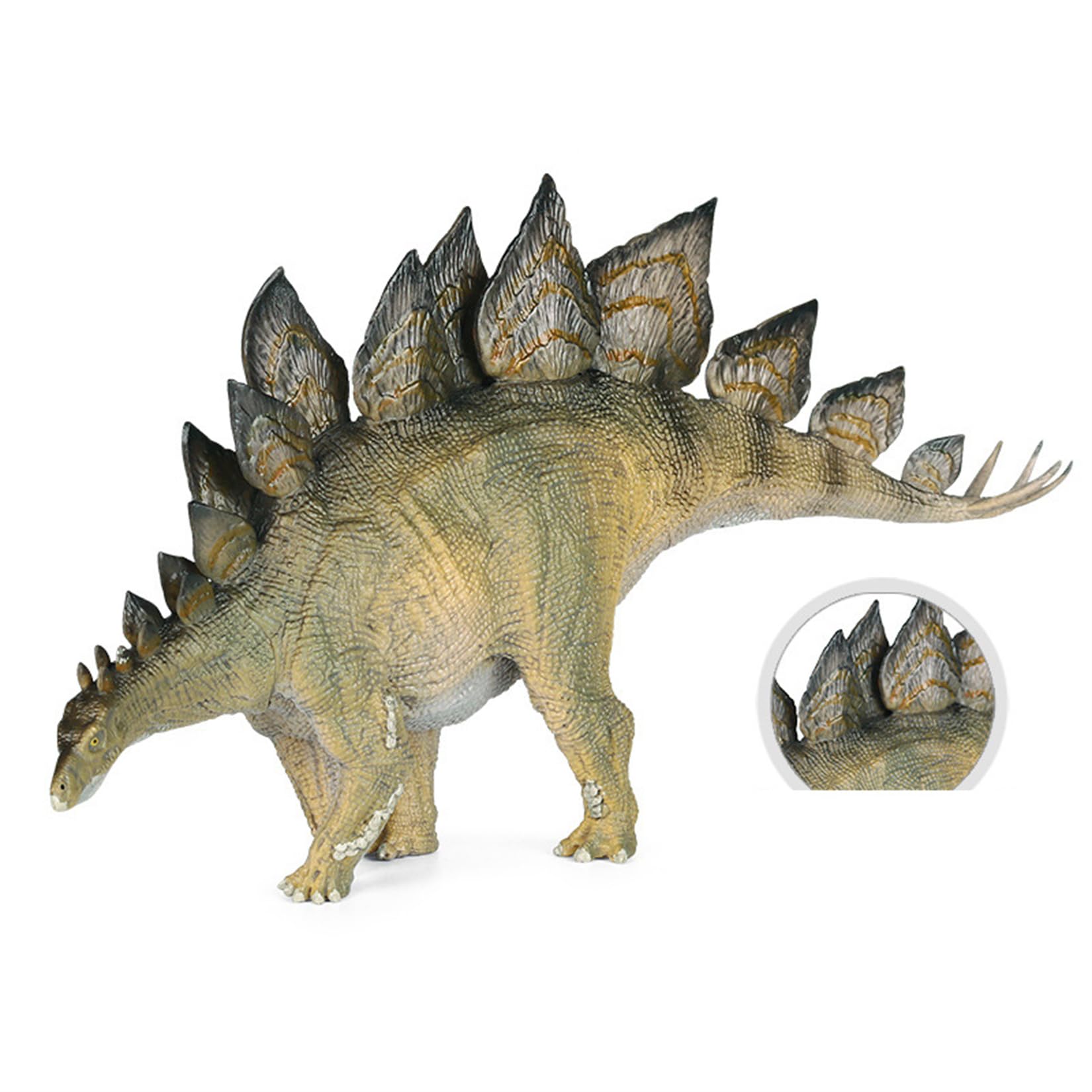 Amazon | EUHELOPA ステゴサウルス 剣竜類 26CM級 植物食恐竜