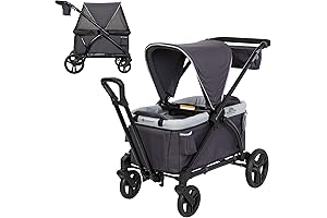 Expedition Stroller Wagon: The Ride of Your Life
