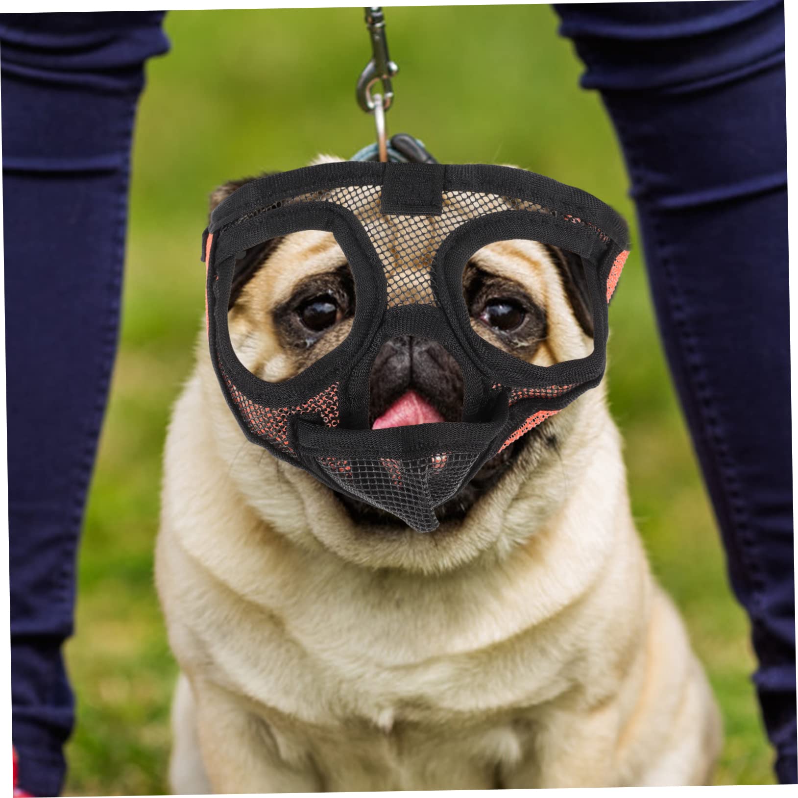 INOOMP 3pièces Muselière pour Chien Respirante Maille Ajustable Anti-aboiement Et Anti-Morsure Confortable Et pour Animaux De Compagnie