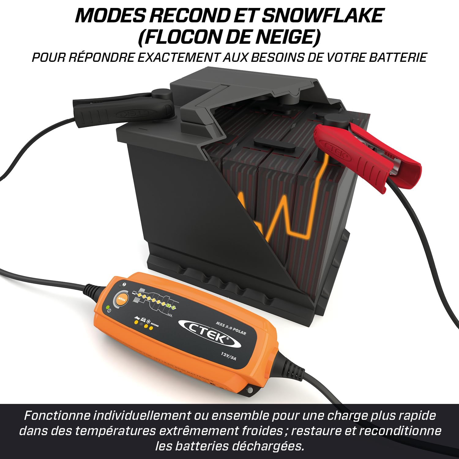 CTEK MXS 5.0 Polar, Chargeur De Batterie Intelligent 12V 5A pour Le Froid Extrême, pour Voiture Et Motoneige, Désulfateur De Batterie avec Mode De Reconditionnement