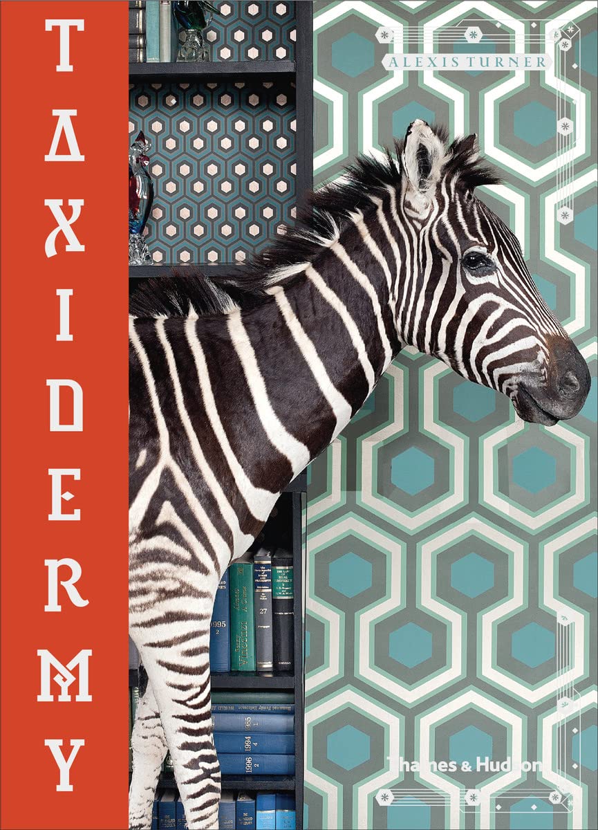 Taxidermy Paperback – 31 Jan. 2019