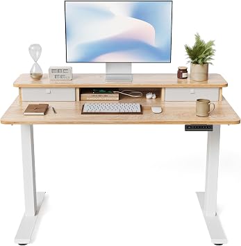 FEZIBO Electric Standing Desk with 2 Drawers, 100x60cm, Oak