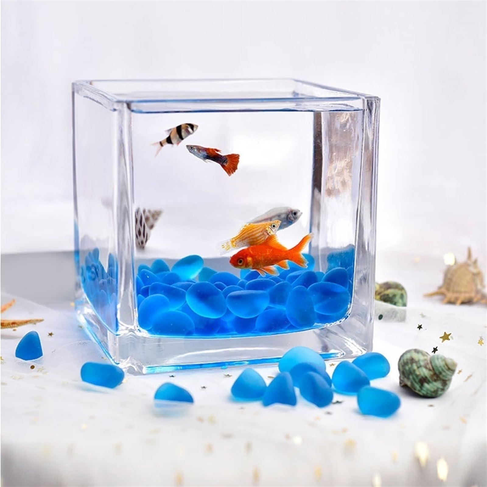 Acquario per pesci in vetro quadrato, acquario per pesci con piano d'appoggio in vetro spesso, acquario per pesci da combattimento trasparente, piccolo acquario ecologico, ornamenti per acquario