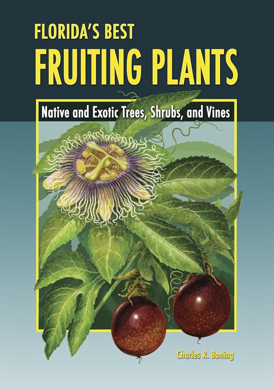 Florida's Best Fruiting Plants: Native and Exotic Trees, Shrubs, and Vines      Paperback – November 1, 2006