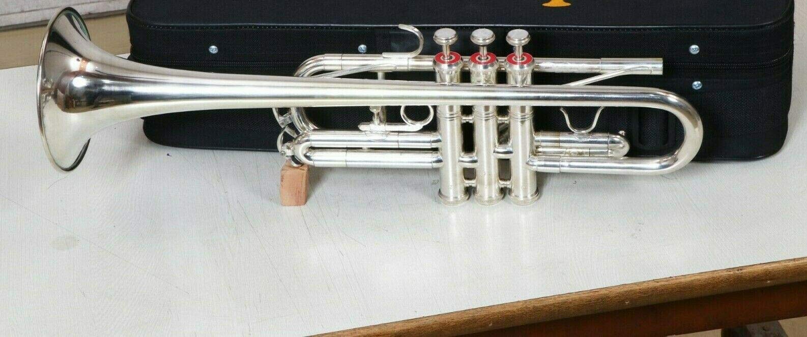 ADVIK Tromba professionale in Do placcata in argento, con custodia rigida e bocchino