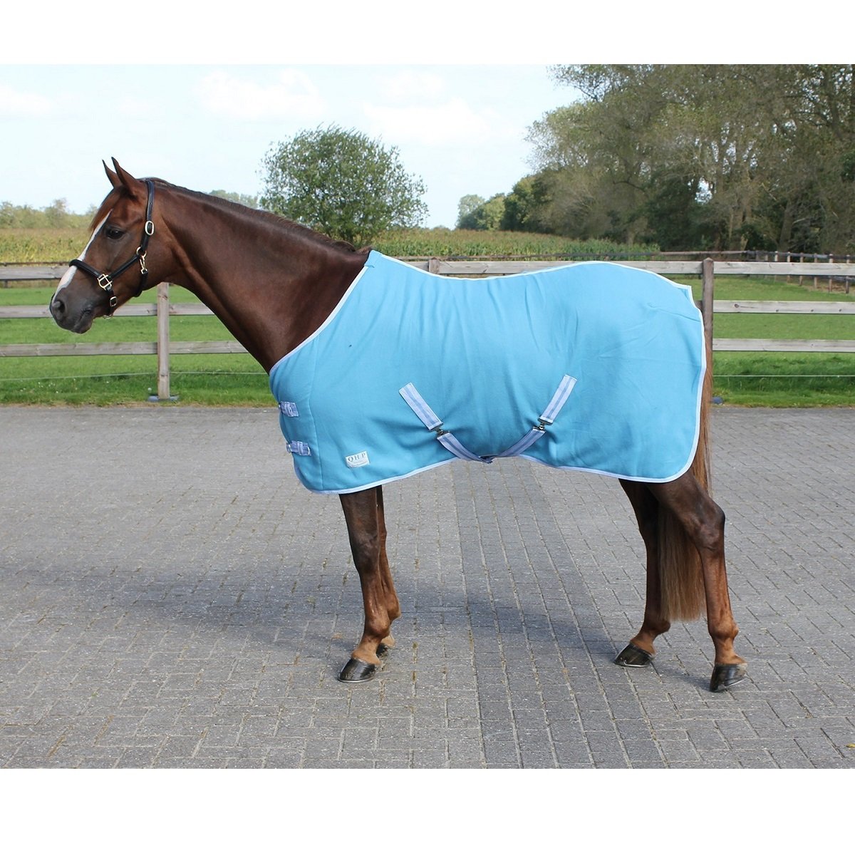 QHP Coperta in Pile per Cavalli con Cinghia Color
