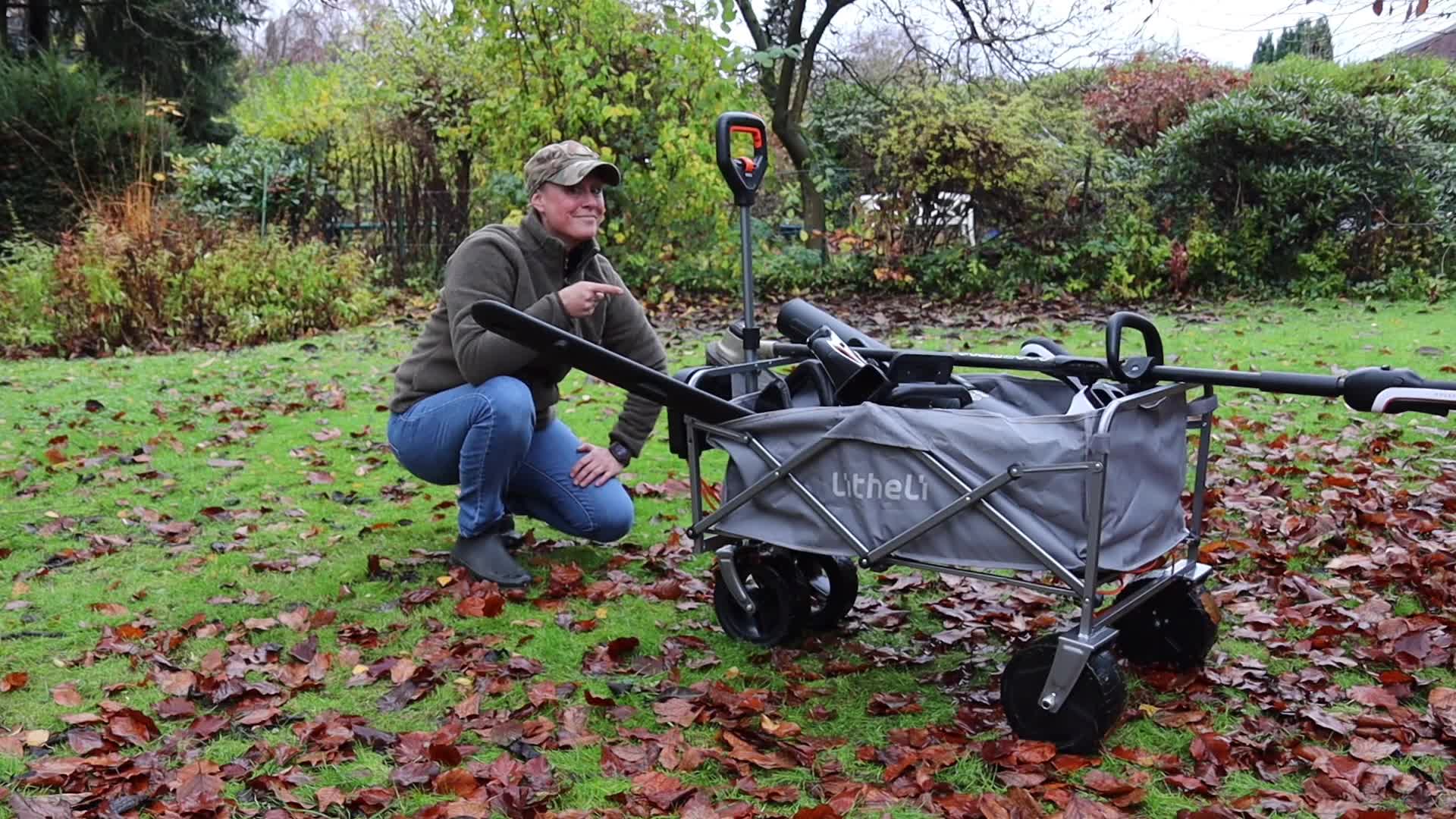Amazon.com : Litheli Electric Collapsible Wagon Cart with Brakes