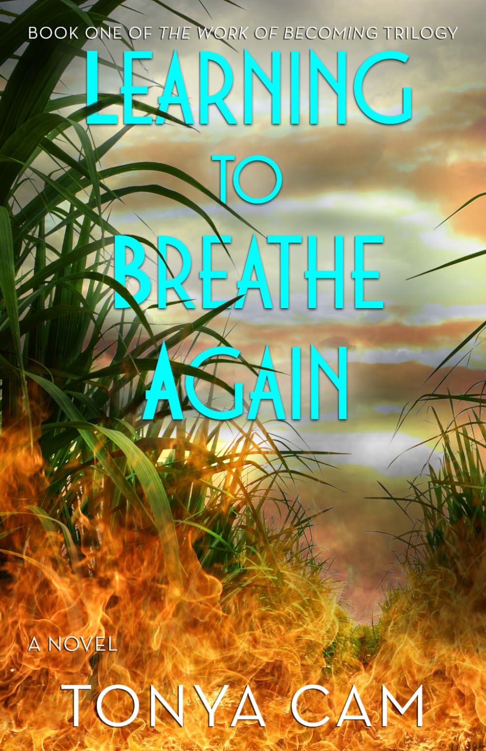 Learning to Breathe Again: A Novel (The Work of Becoming Trilogy)