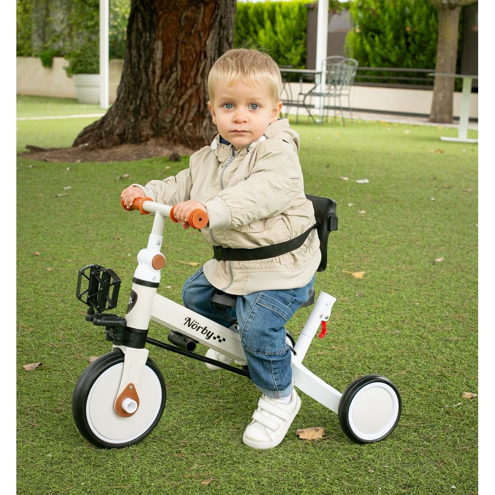 Interbaby Norby: 5 in 1 Dreirad und Laufrad mit Verdeck, 1 bis 5 Jahre