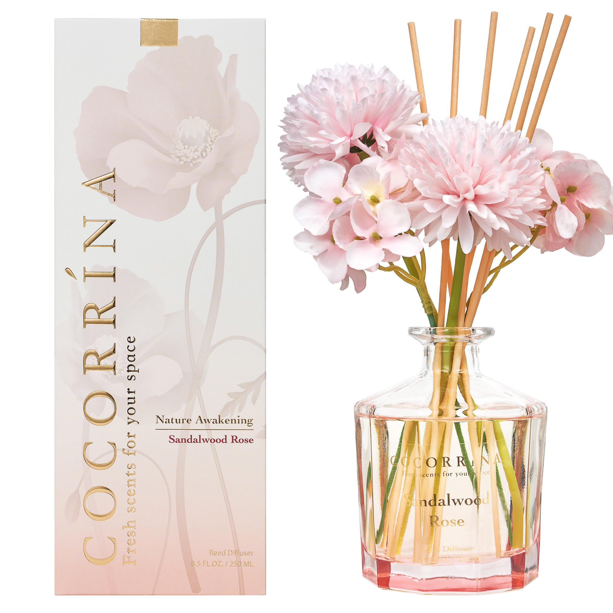 COCORRÍNA Reed Diffuser - Sandalwood Rose 8.5oz Flower Reed Diffuser Set with 8 Sticks, Home Fragrance Reed Diffuser for Home Bedroom Office Bathroom Shelf Decor (Master Collection)