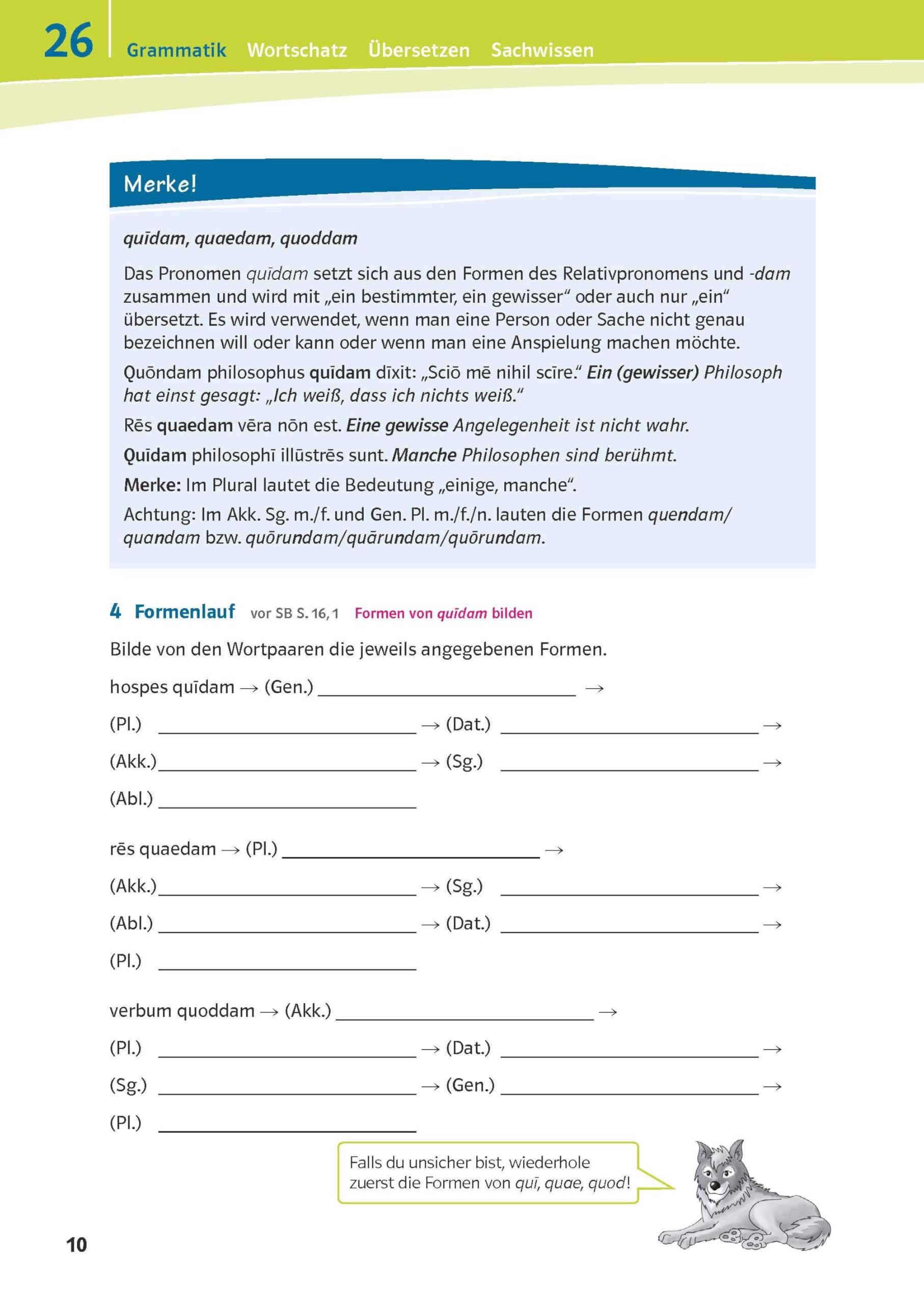 Pontes 3: Das Trainingsbuch zum Schulbuch (Pontes. Ausgabe ab 2014)