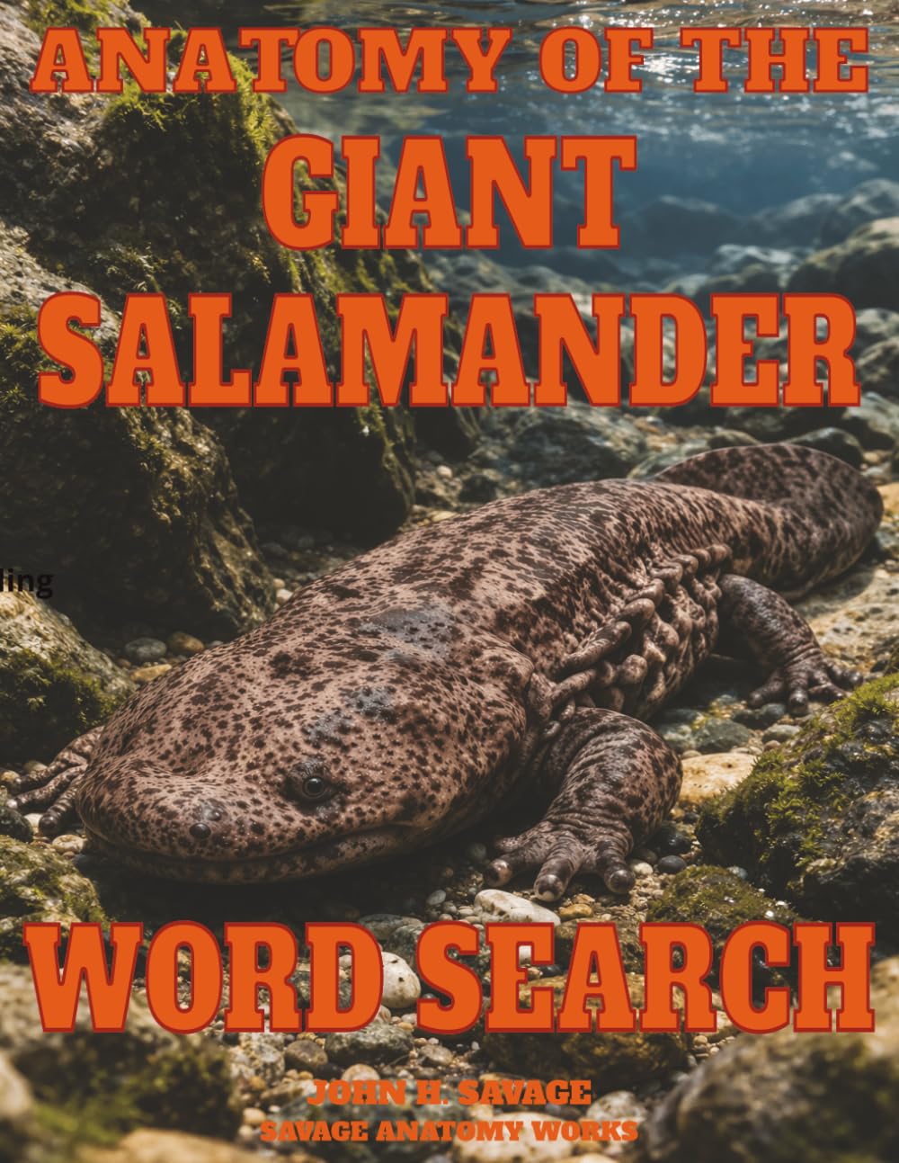 ANATOMY OF THE GIANT SALAMANDER WORD SEARCH: AMPHIBIAN MORPHOLOGY AND PHYSIOLOGICAL SYSTEMS (Savage Anatomy)