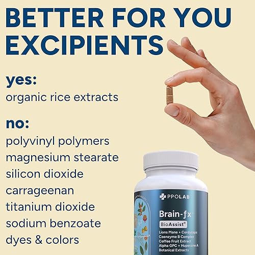 Miniatura 7 de Brain-fx Vitaminas B y hierbas para la memoria y la concentración, suplemento nootrópico, complejo B metilado colina Bacopa leones melena Cordyceps