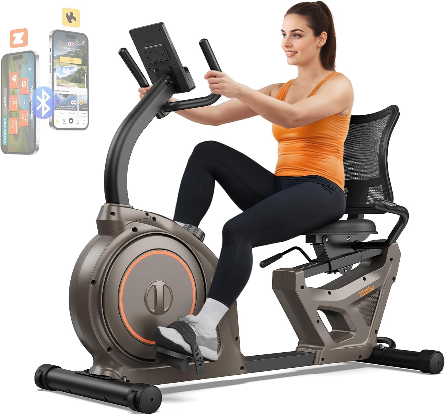 Recumbent Exercise Bike, Recumbent Bike for Home