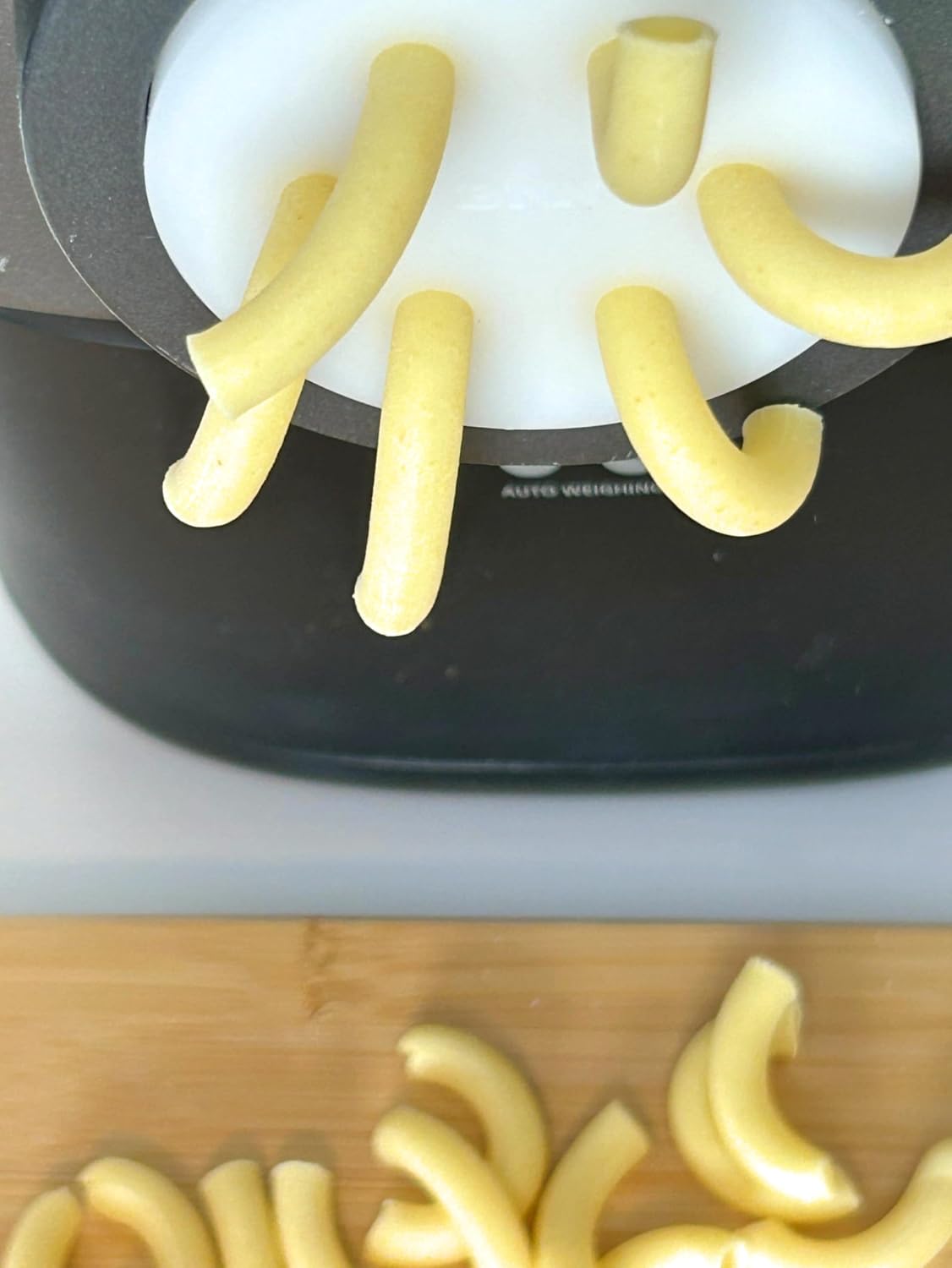 BNN - Macaroni - 7mm diameter x 1mm thickness - AMMACL07 - Pasta Disc compatible with Philips Pasta Maker