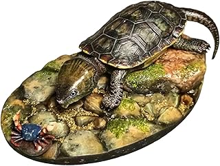 オオアタマガメ 5cm級 フィギュア 樹脂 動物 亀 爬虫綱オオアタマガメ科オオアタマガメ属 台座付き 情景セット リアル プラモデル 大人のコレクション 模型 置物 [並行輸入品]