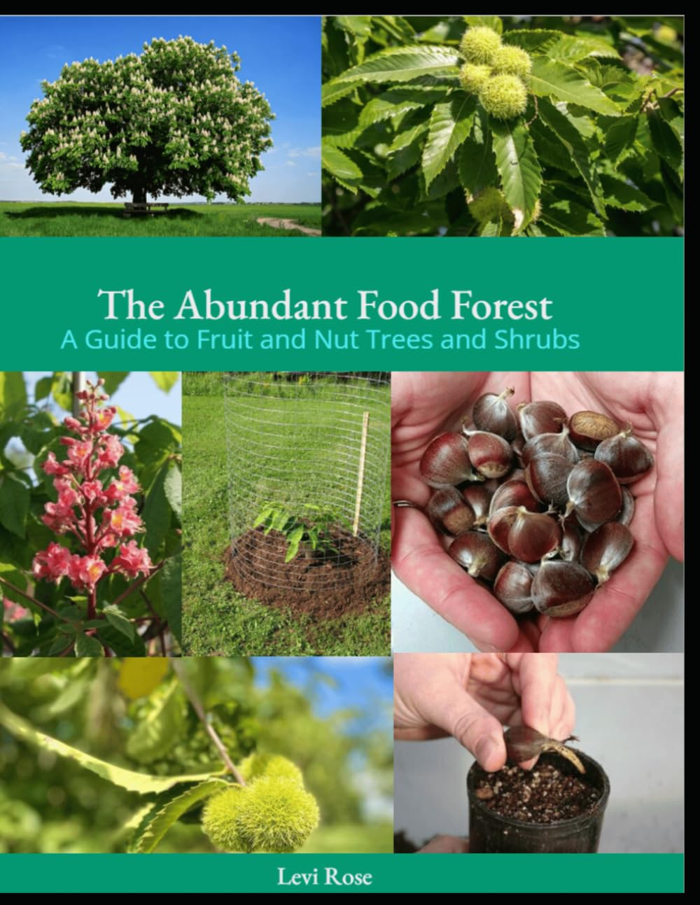 The Abundant Food Forest: A guide to Fruit and Nut Trees and Shrubs