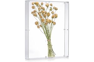 16x20 Clear Shadowbox with Assemble Frame