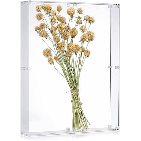 16x20 Clear Shadowbox with Assemble Frame
