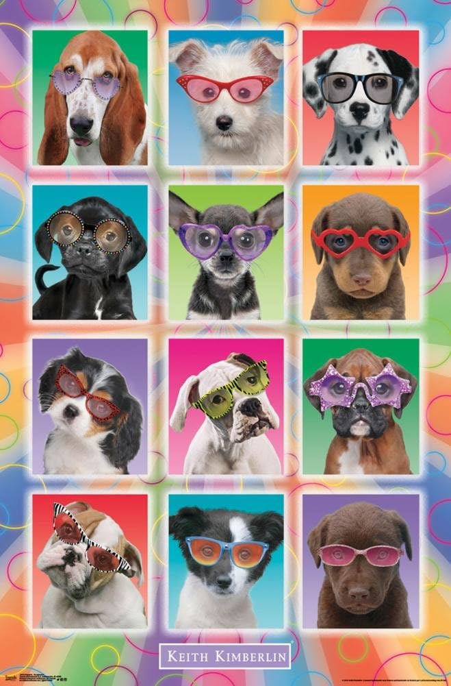 Trends International Keith Kimberlin - Puppies - Sunglasses Wall Poster, 22.375" x 34", Unframed Version