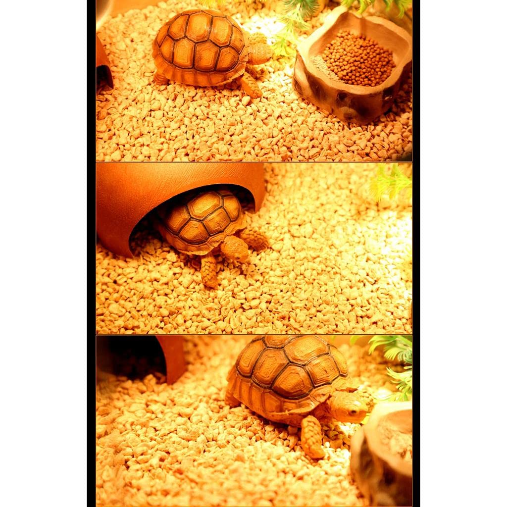 Colcolo Habitat pour Reptiles Literie Confortable Légère 500g