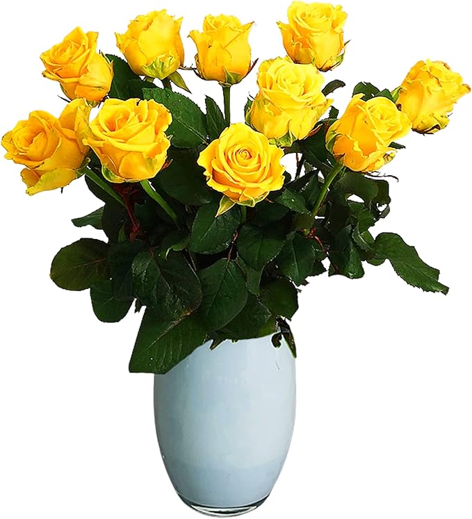 Just Roses Yellow Bouquet Beautiful Fresh Flowers with Free Delivery