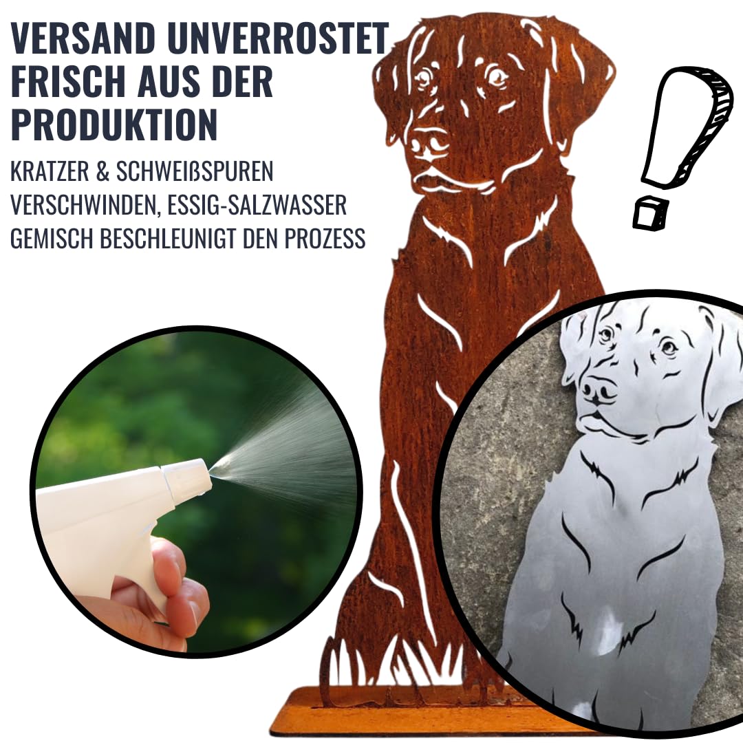 Terma Stahldesign Edelrost Hund Labrador lebensgroß Metall Gartenfigur Handmade Germany wetterfest Gartendeko Tierfigur Rostfigur Geschenk Grabdeko