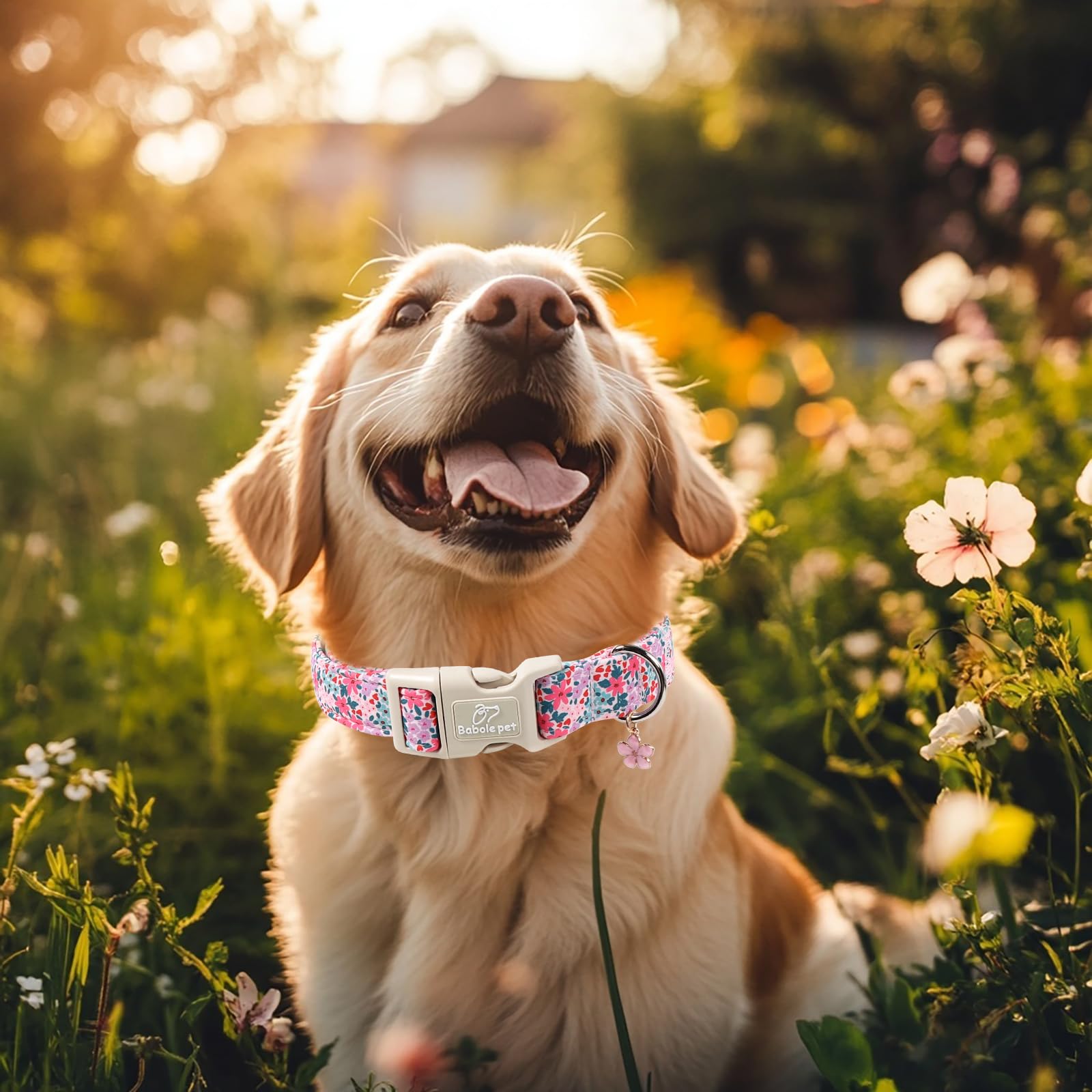 Hundehalsband mit Blumenmuster, süßes Mädchen-Hundehalsband – Pastell-Wildblumen-Muster, Frühling, Sommer, Welpenhalsband, verstellbares Hündchen-Halsband für kleine, mittelgroße und große
